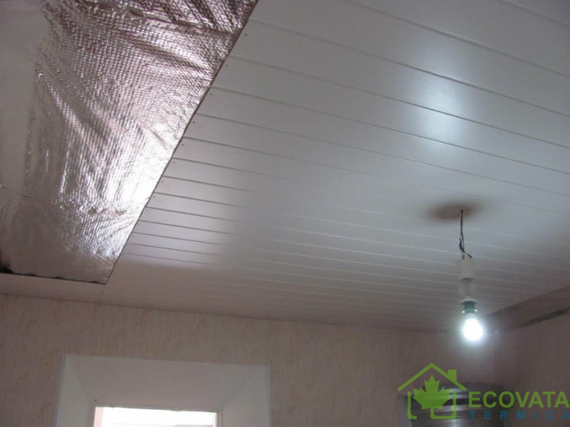 Жилой блок, Ботаника - 3