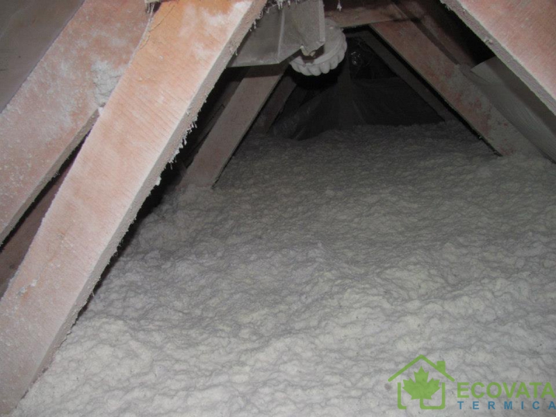 Жилой блок, Ботаника - 4